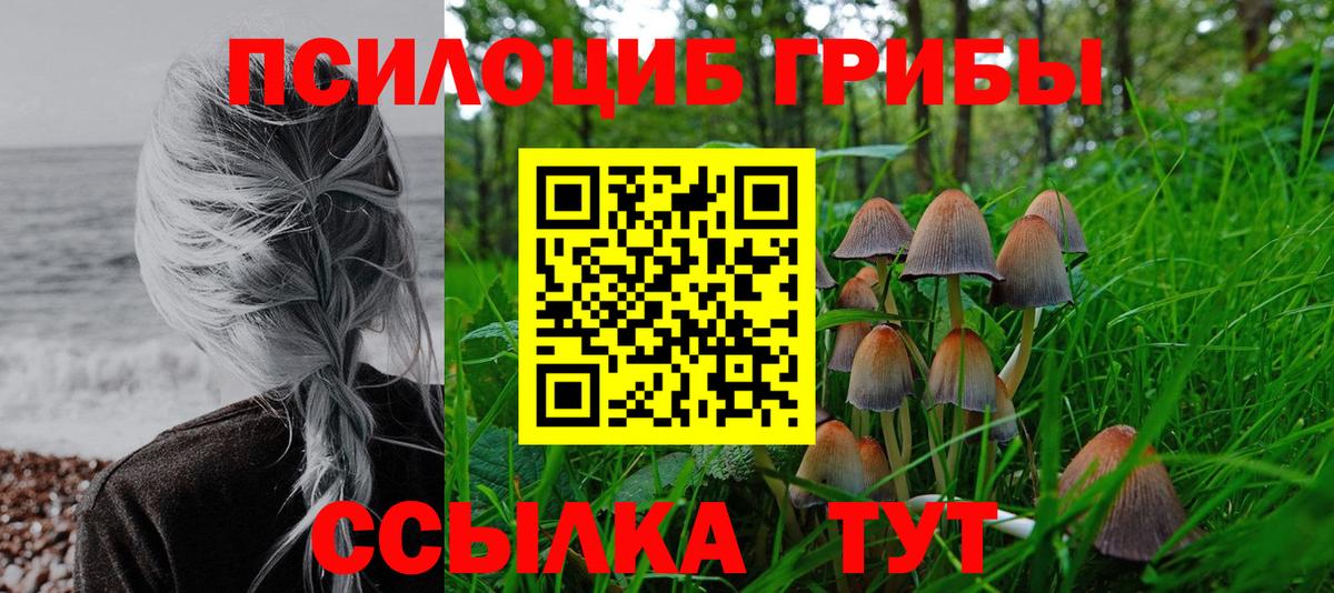 Хасавюрт  Галлюциногенные грибы мухоморы  Вход с VPN 