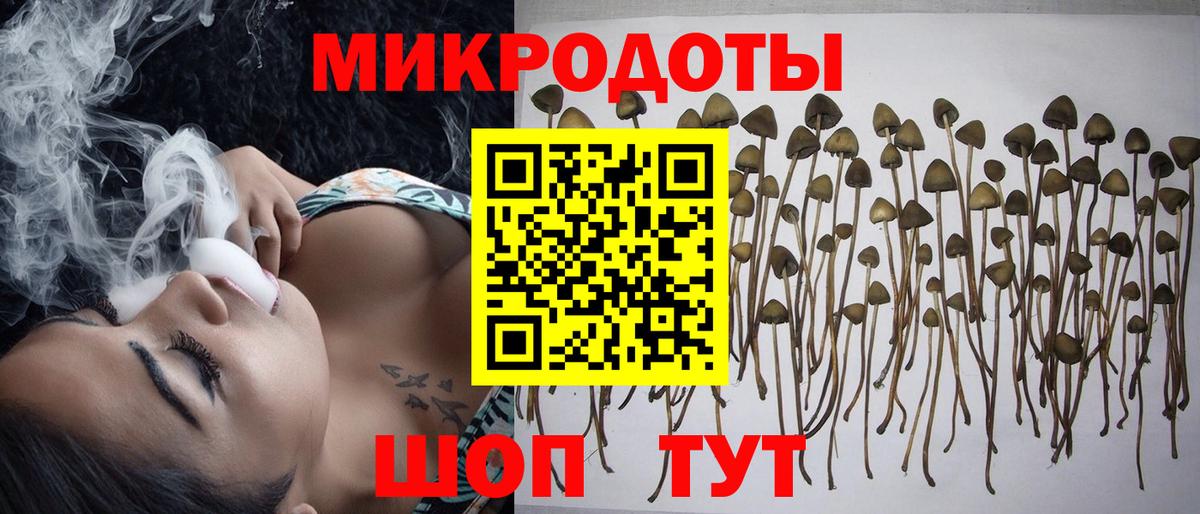 Галлюциногенные грибы ЛСД Хасавюрт